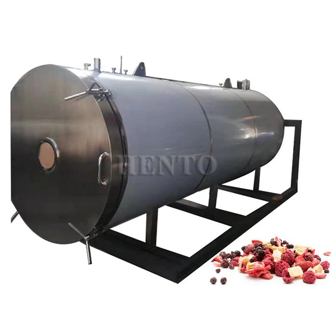 Vacuum Freeze Dryer