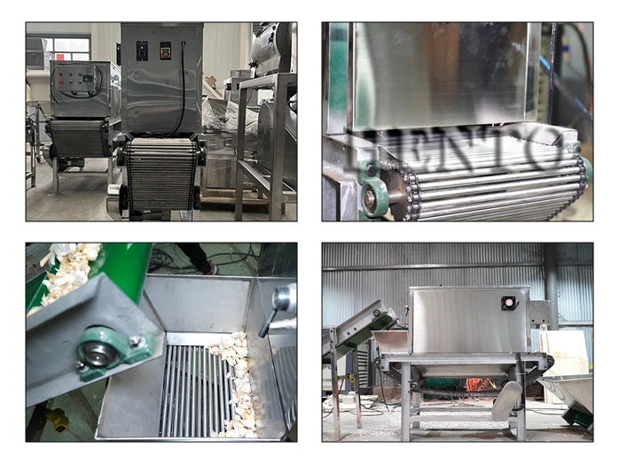 Garlic Peeling Machine